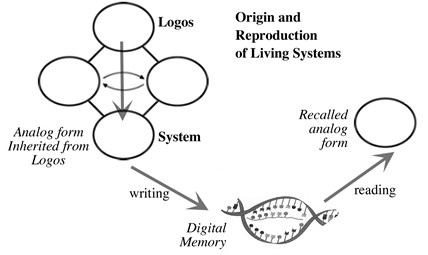 Epigenics_2