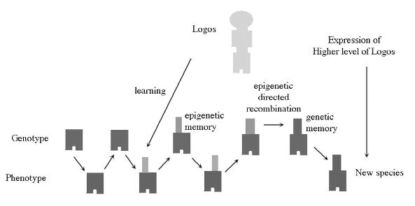 Epigenics_5