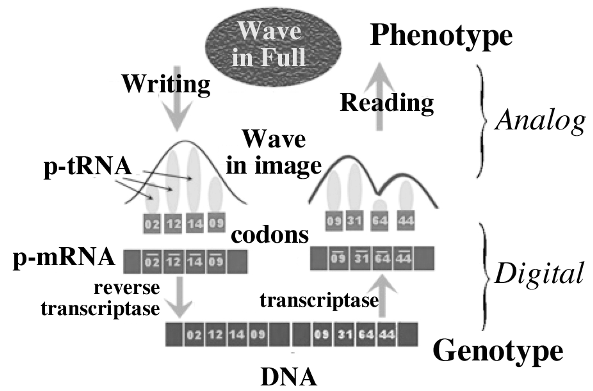 Epigenics_6