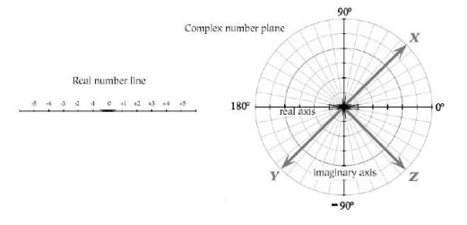 Quantum Evolution from Atoms to Adam